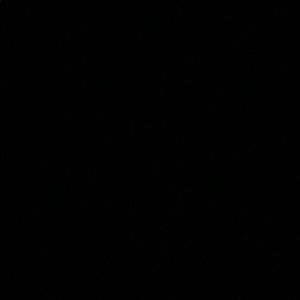 Meet your Posher, Kenzi